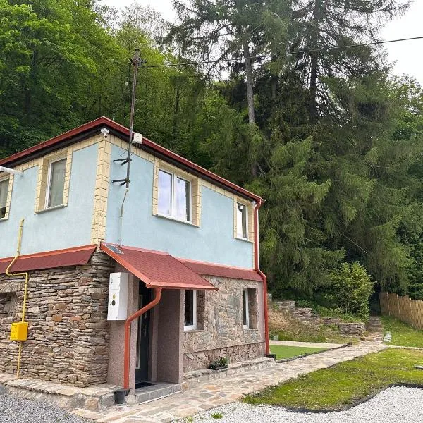 Domek w Dusznikach，位于杜什尼基-兹德鲁伊的酒店