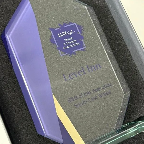 Level Inn，位于特里迪格的酒店