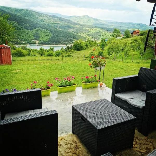 Vila Jotic, Zavojsko jezero，位于皮罗特的酒店