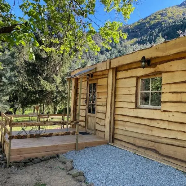 La Cabane trappeur，位于Gravières的酒店