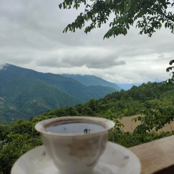 cottage panorama merisi，位于Gorboneti的酒店