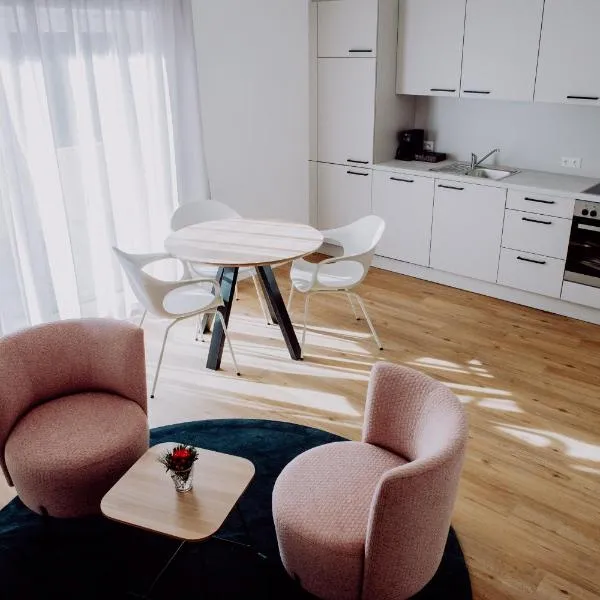 Zur Pfanne – Studio，位于里斯河畔比伯拉赫的酒店