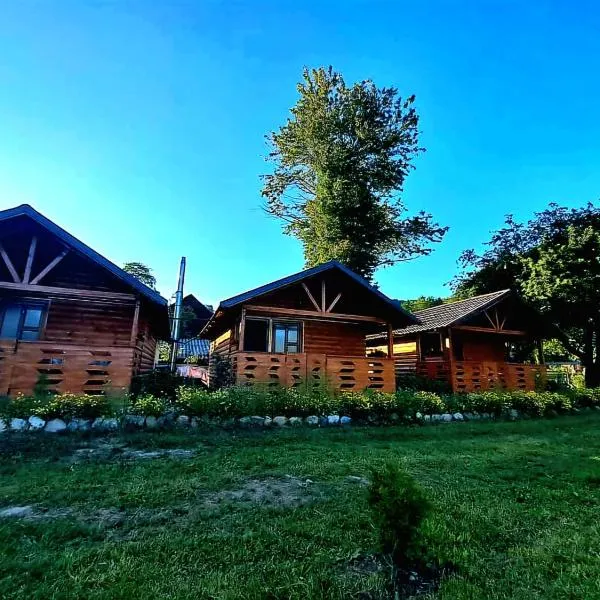 Căsuțele Camping AliMar，位于Hălmagiu的酒店