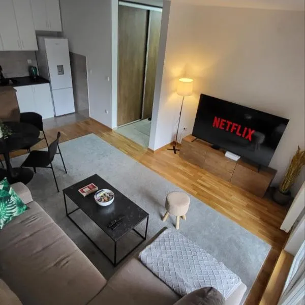 APARTMENT MOSCOW VRBAS，位于Vrbas的酒店