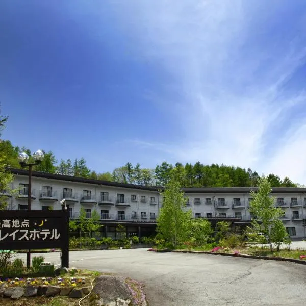 八岳格雷斯酒店度假村，位于Kawakami的酒店