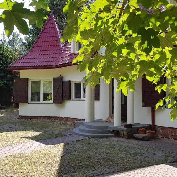 Pluski 10 osobowy Dom PROJEKT PLUSKI nad Jeziorem Pluszne，位于普鲁斯基的酒店