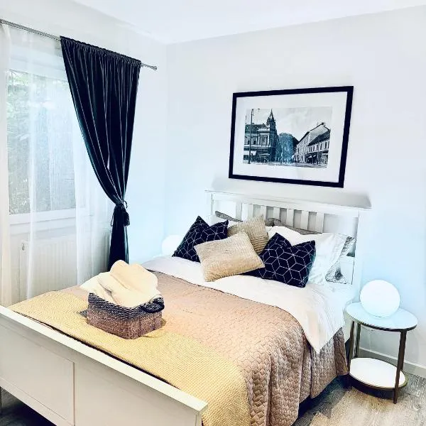 Bri Central Apartment，位于德瓦的酒店