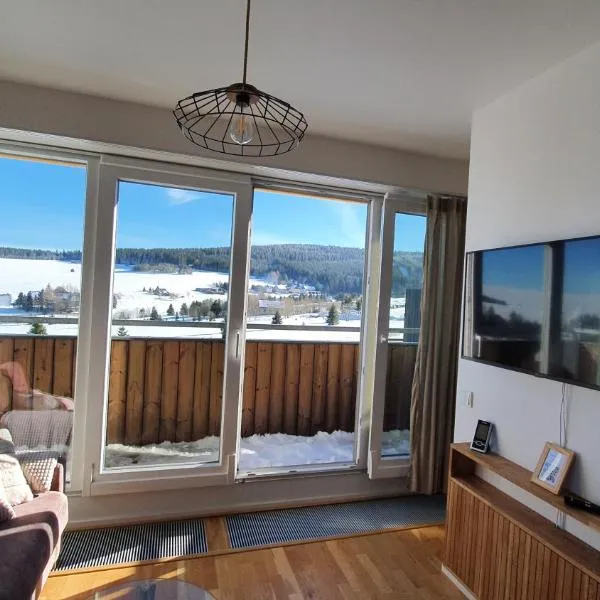 Mezonetový apartmán se dvéma balkóny a výhledem，位于卢捷纳普德克利诺夫琴的酒店