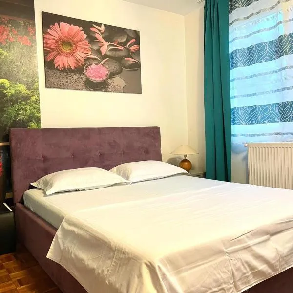 Apartament DANI，位于Iloviţa的酒店