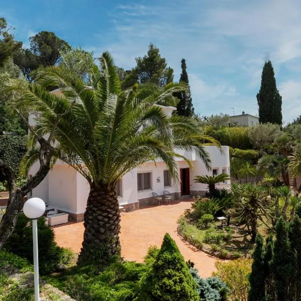 Villa Donna Carolina Capri，位于阿纳卡普里的酒店