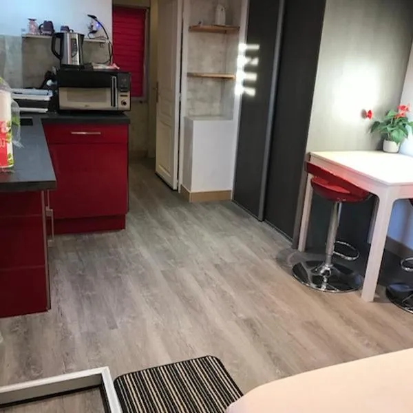 Studio Moovy Proche Stade Groupama, LCLD ARENA , Eurexpo Lyon，位于梅济约的酒店
