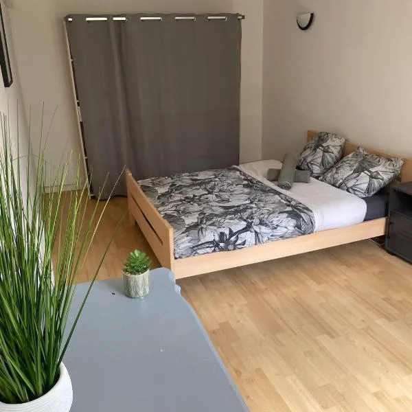 Appartement a Cornebarrieu，位于科尔讷巴里厄的酒店