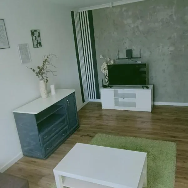 Apartament na Krakowskiej 15，位于Chotowa的酒店