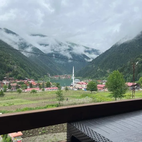 الباتروس اوزنجول Albatros Uzungöl，位于Çaykara的酒店