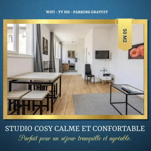 STUDIO COSY - HYPERCENTRE - CALME - 50M2 - Wi-FI，位于Lasgraisses的酒店