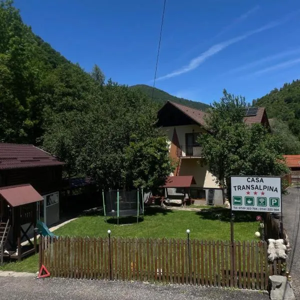 Pensiunea Casa Transalpina，位于舒加格的酒店