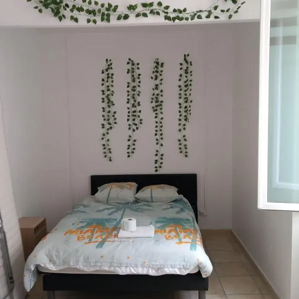 un lit double dans une chambre et un lit simple dans une autre , Appartement de 3 chambres en colocation à proximité du centre ville，位于土伦的酒店