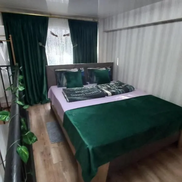 Marie apartament，位于Mskhaldidi的酒店