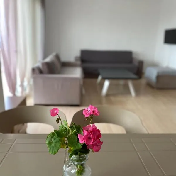 Suzi's apartment，位于德尔米的酒店