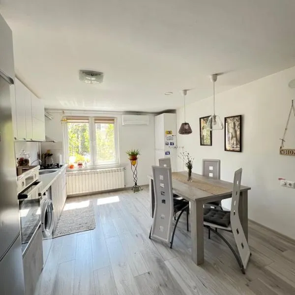 Ank's Apartment，位于Ocna Mureş的酒店