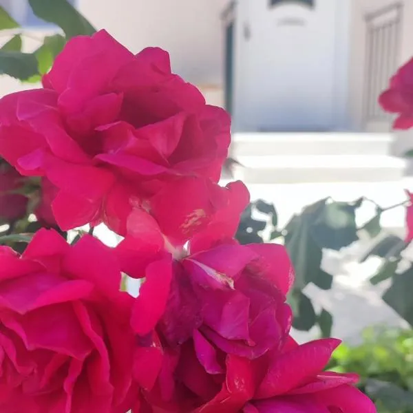 Olivia's house，位于Kalogoniá的酒店