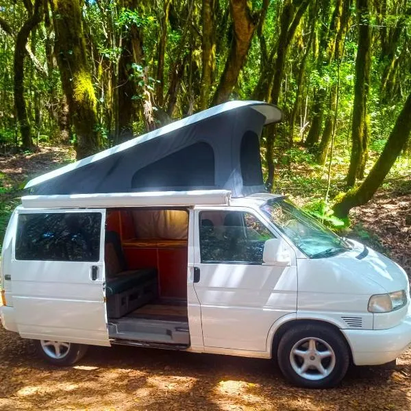 Furgoneta Camper La Gomera 3，位于戈梅拉岛圣塞瓦斯蒂安的酒店