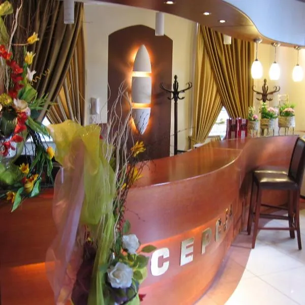Hotel Korona，位于切哈努夫的酒店