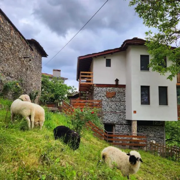 GUEST HOUSE ELENA，位于Kosovo的酒店