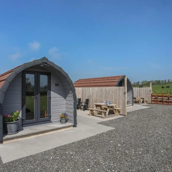 Parys Pod，位于Bodewryd的酒店