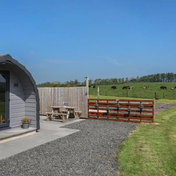 Nebo Pod，位于Bodewryd的酒店