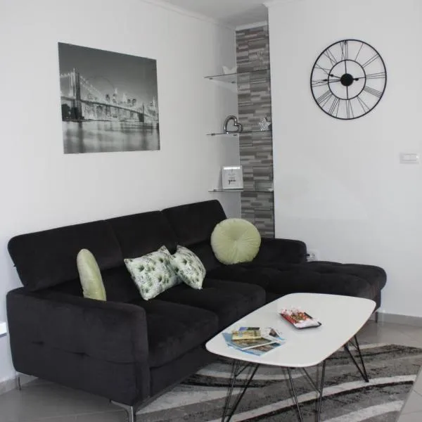 Apartman Hakuna Matata，位于里耶卡的酒店