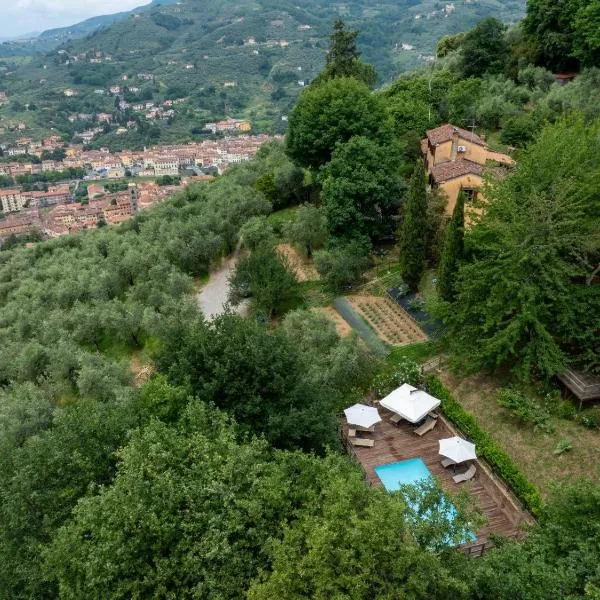 La Casa sui Colli，位于Uzzano的酒店