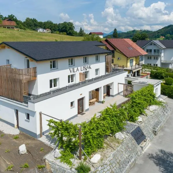 VILA LISJAK - Apartments，位于博德森特克的酒店