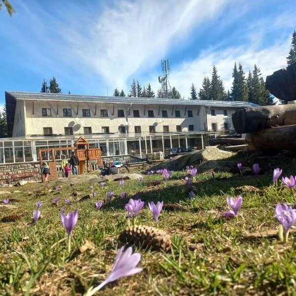 Zvezditsa Chalet，位于Vitosha的酒店