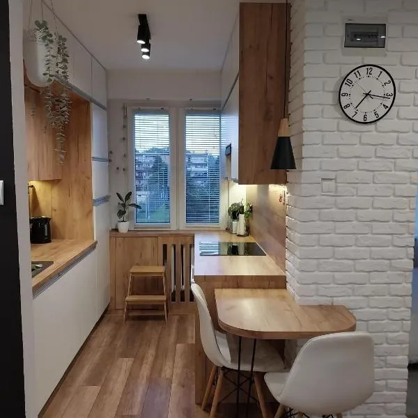 Apartament na Sadowej，位于萨诺克的酒店