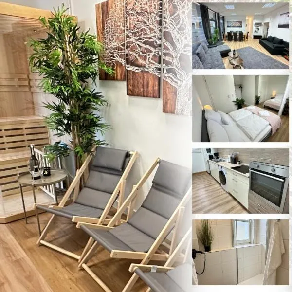 Das Loft - Sauna - 4 Schlafzimmer - 2 Bäder - Stadtmitte - 2 Parkplätze，位于施派尔的酒店