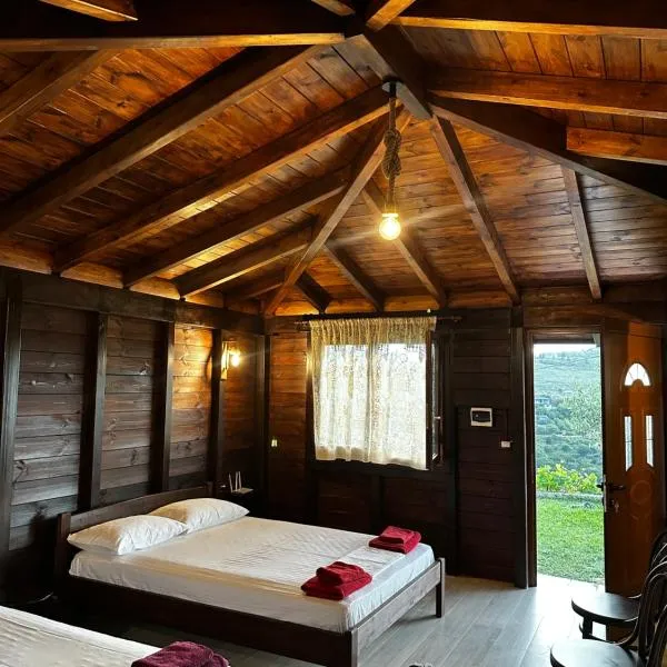 Guest House Gorani，位于培拉特的酒店