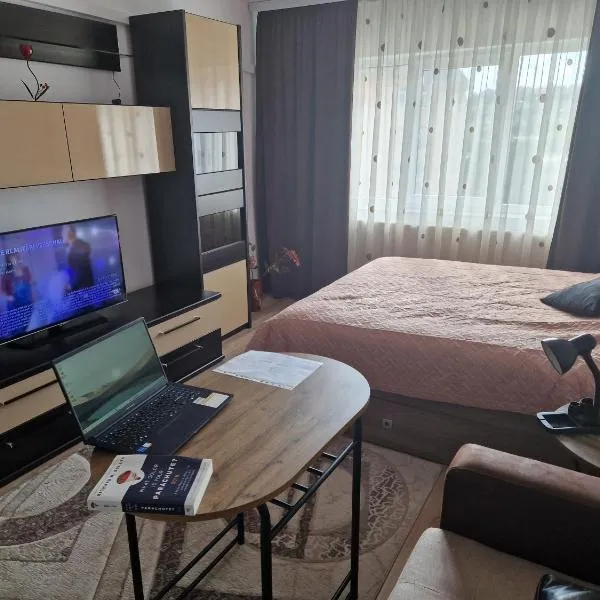 Apartament 2 camere Campulung Muscel，位于Dragoslavele的酒店