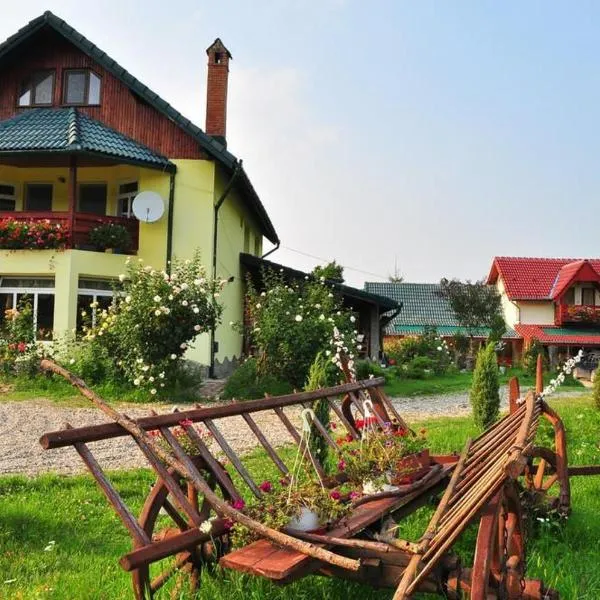 Pensiunea Cotiso，位于Costeşti的酒店