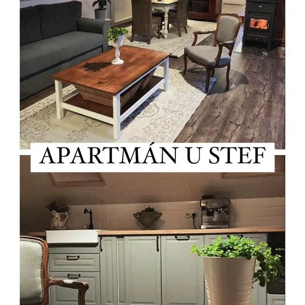 Apartmán u Stef，位于Mokrovraty的酒店