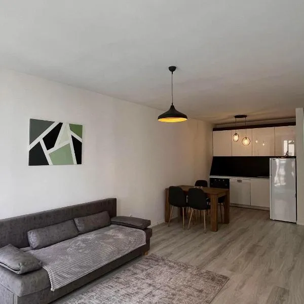 Fushe Kosove Cozy Apartment，位于Kosovo Polje的酒店
