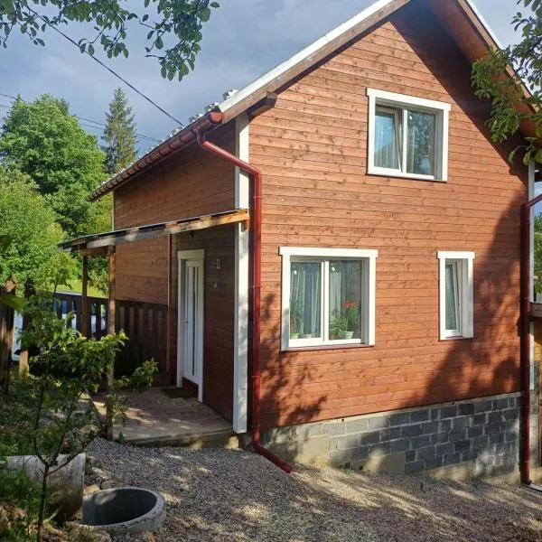 Карпатський котедж Karpatian cottage，位于沃罗赫塔的酒店