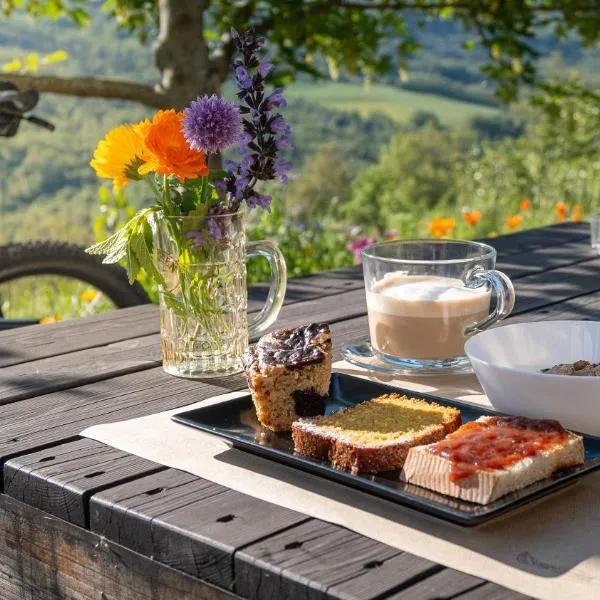 Le Spine B&B sulla Via Francigena，位于贝尔切托的酒店