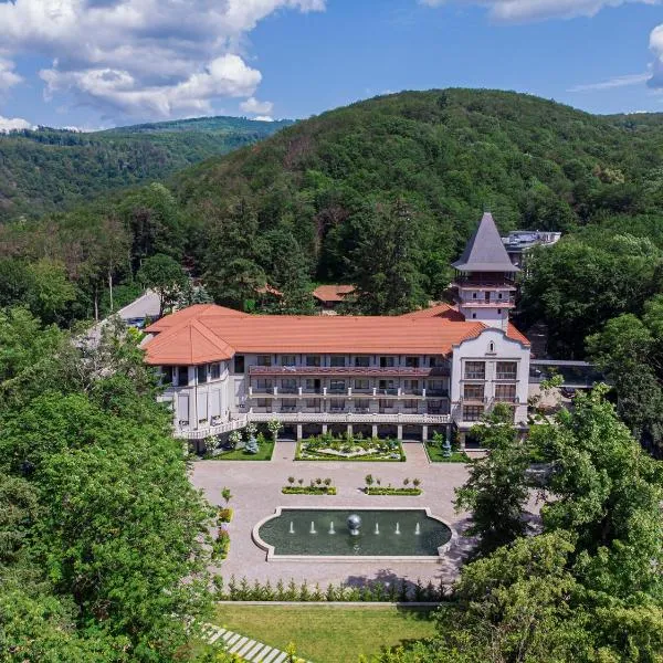 Verkhovyna Resort Medical & Wellness，位于尼日尔索洛维诺的酒店