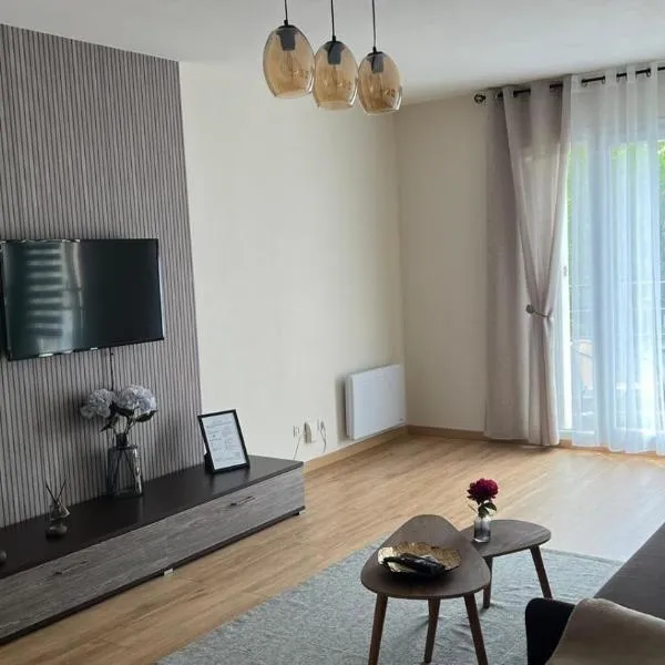 Superbe Appartement tout équipé, Coins cosy à Metz gare, 50M2, Parking privé, Balcon, 2p，位于梅斯的酒店