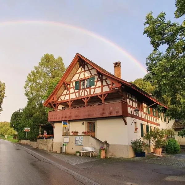 Studio beim Rhein - Ziegelhütte，位于Rafz的酒店