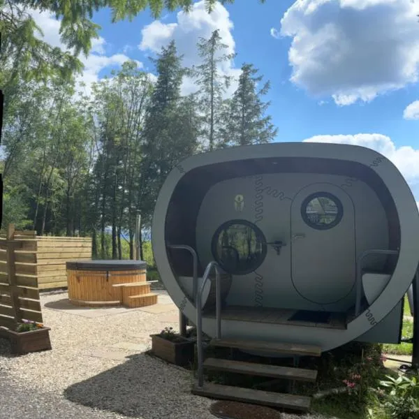 Celtic Minor Pods，位于Ystalyfera的酒店