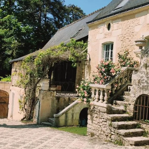 maison d'hôtes prince face au château du clos Luce，位于阿姆博斯的酒店