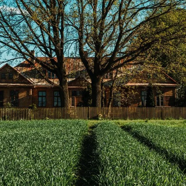 Puszcza - Przestrzeń Kreatywna，位于Andrzejów的酒店