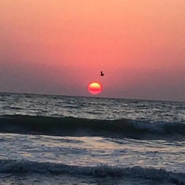 Lala's sweet nest by the sea side，位于尼普顿的酒店